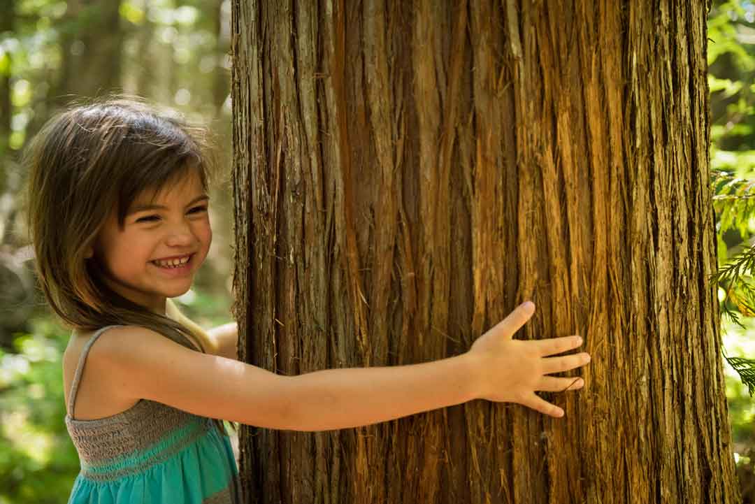 Girl and PEFC Sustainable Cedar Timber